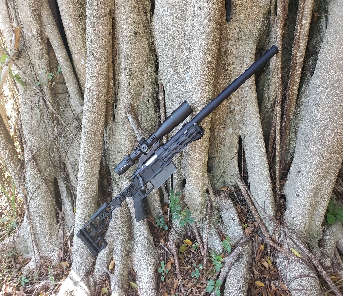 Custom VSR 10 commissions | HopUp Airsoft